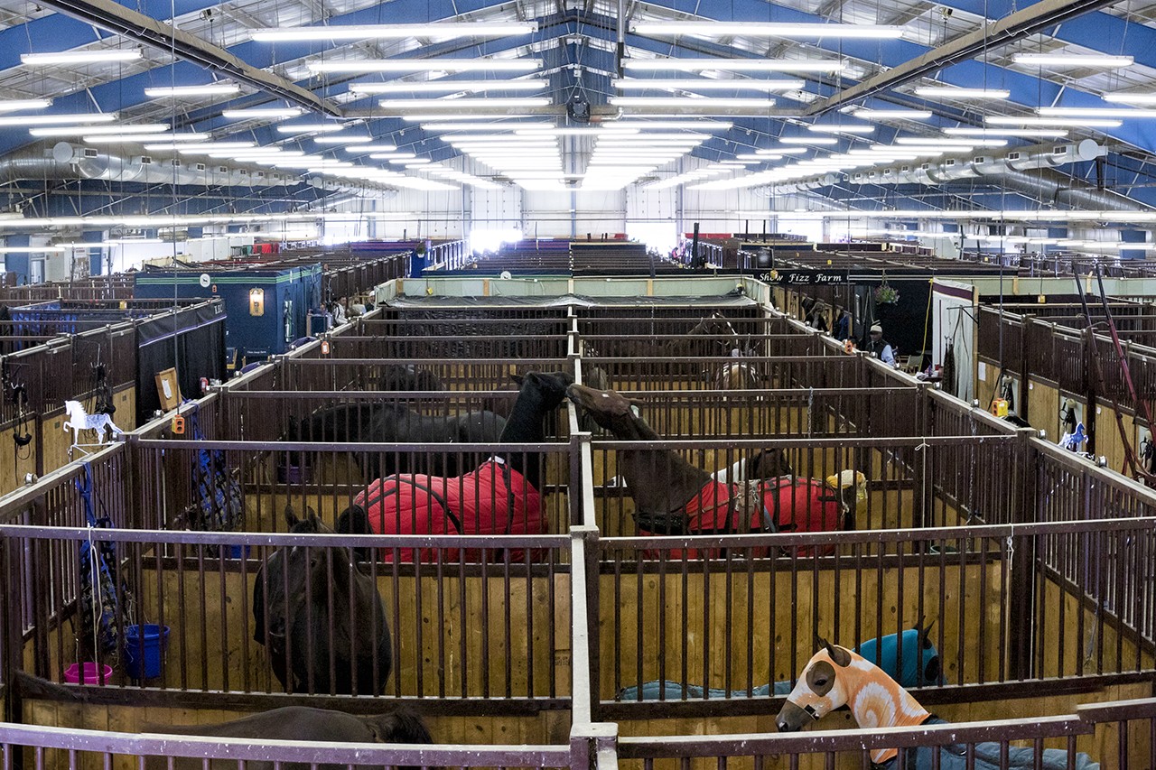 Stall Barn