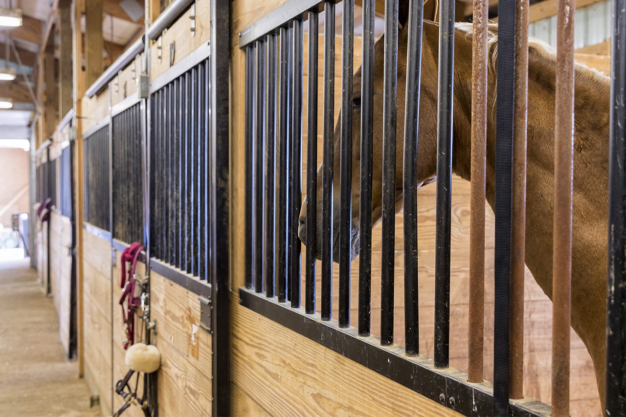 North Stall Barn