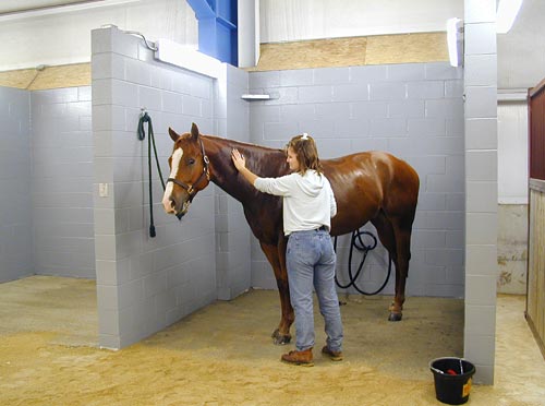 Horse Wash Racks